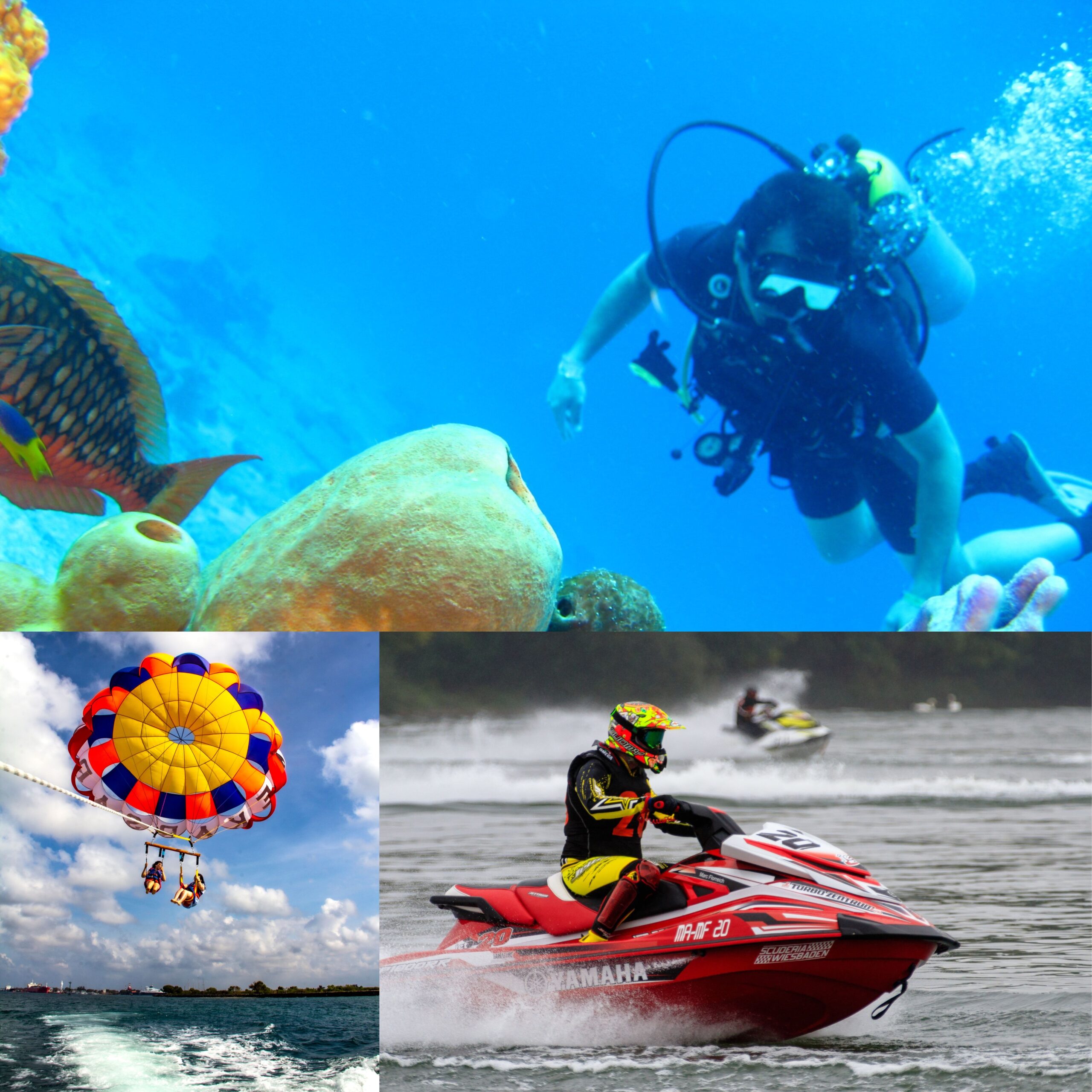 Paradise Scuba Diving with Water Sports Paradise Scuba Diving with Water Sports