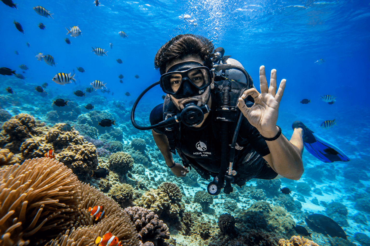 Best scuba diving in Goa underwater marine life experience