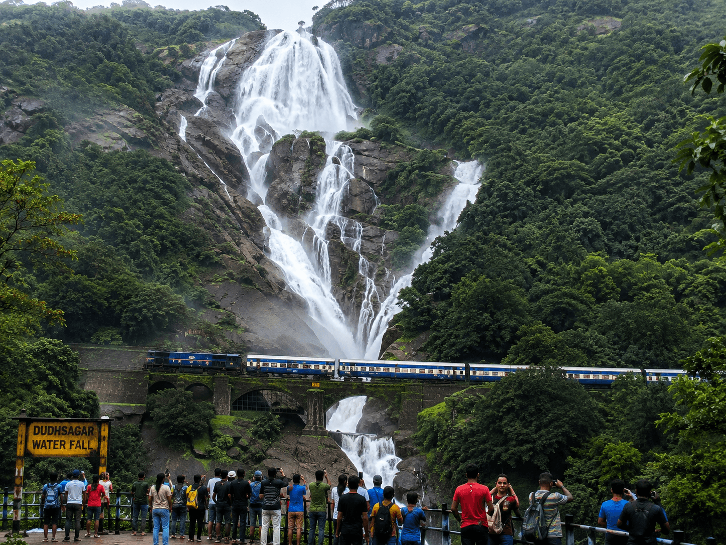 Dudhsagar waterfall trip Goa service