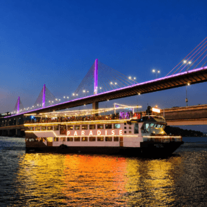 paradise dinner cruise goa
