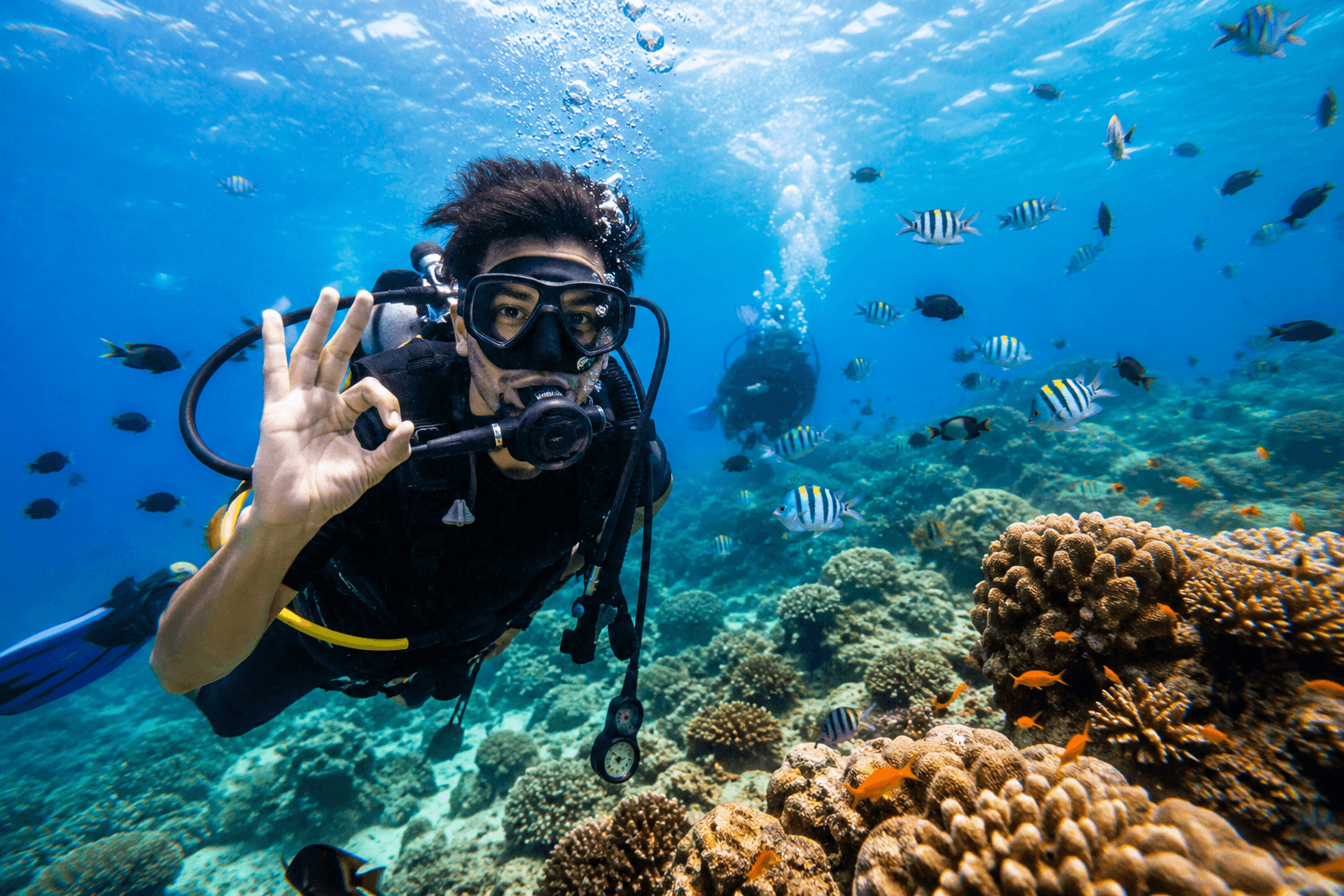 Scuba diving in Goa underwater adventure with marine life