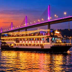 Paradise sunset cruise Goa on Mandovi River